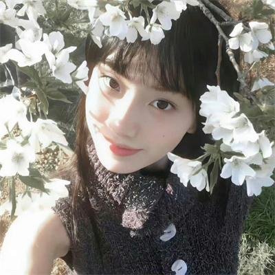 林中绮谭